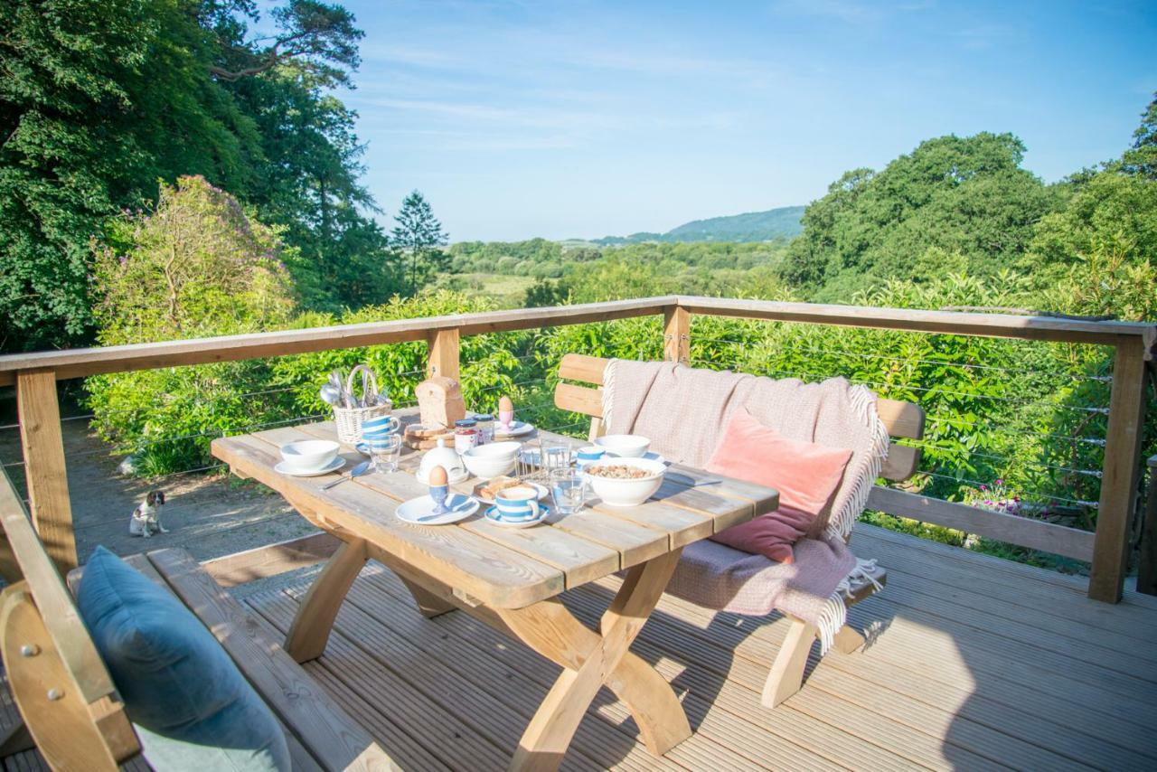 Little Kestrel Cabin Pennal Ngoại thất bức ảnh