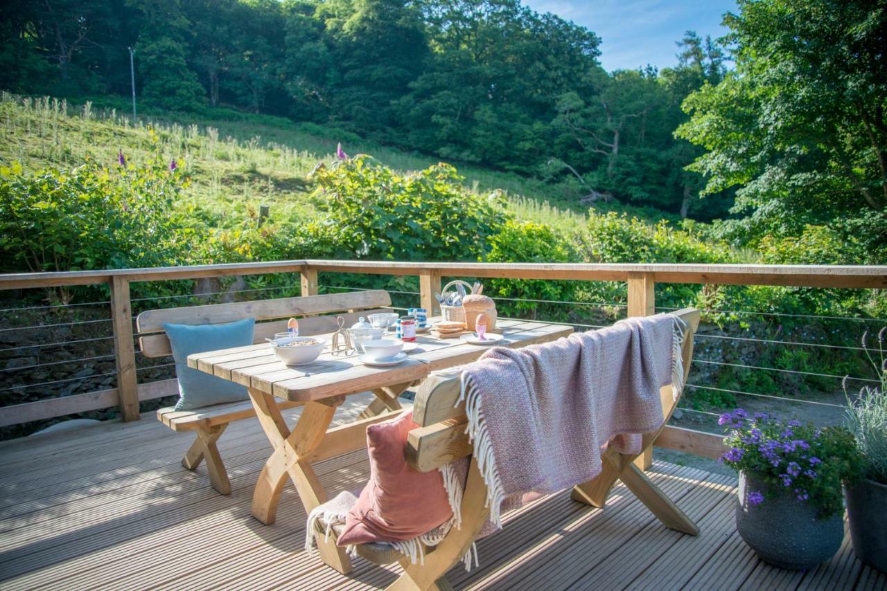 Little Kestrel Cabin Pennal Ngoại thất bức ảnh