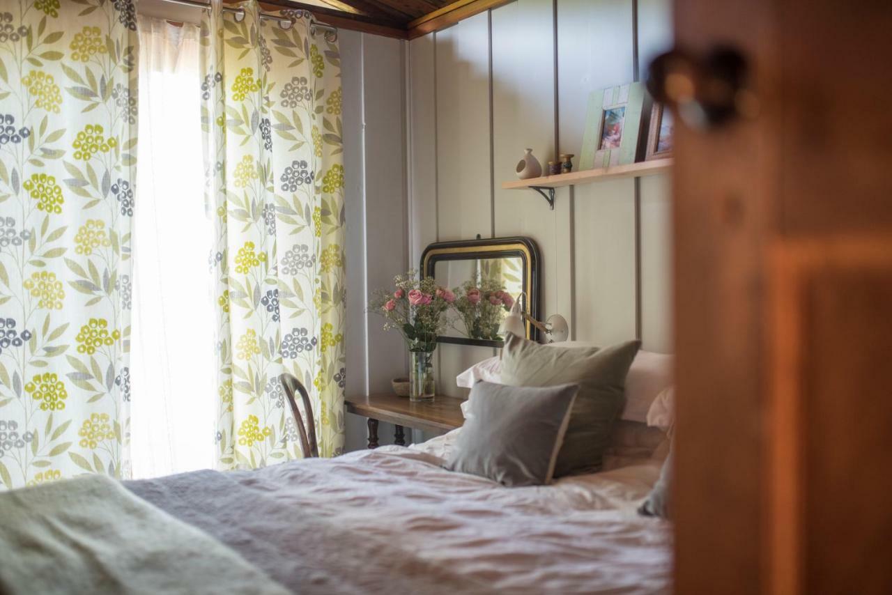 Little Kestrel Cabin Pennal Ngoại thất bức ảnh