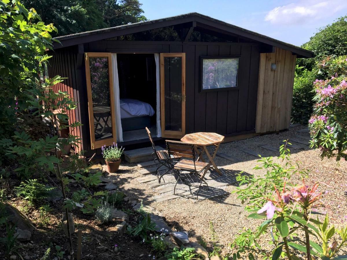 Little Kestrel Cabin Pennal Ngoại thất bức ảnh