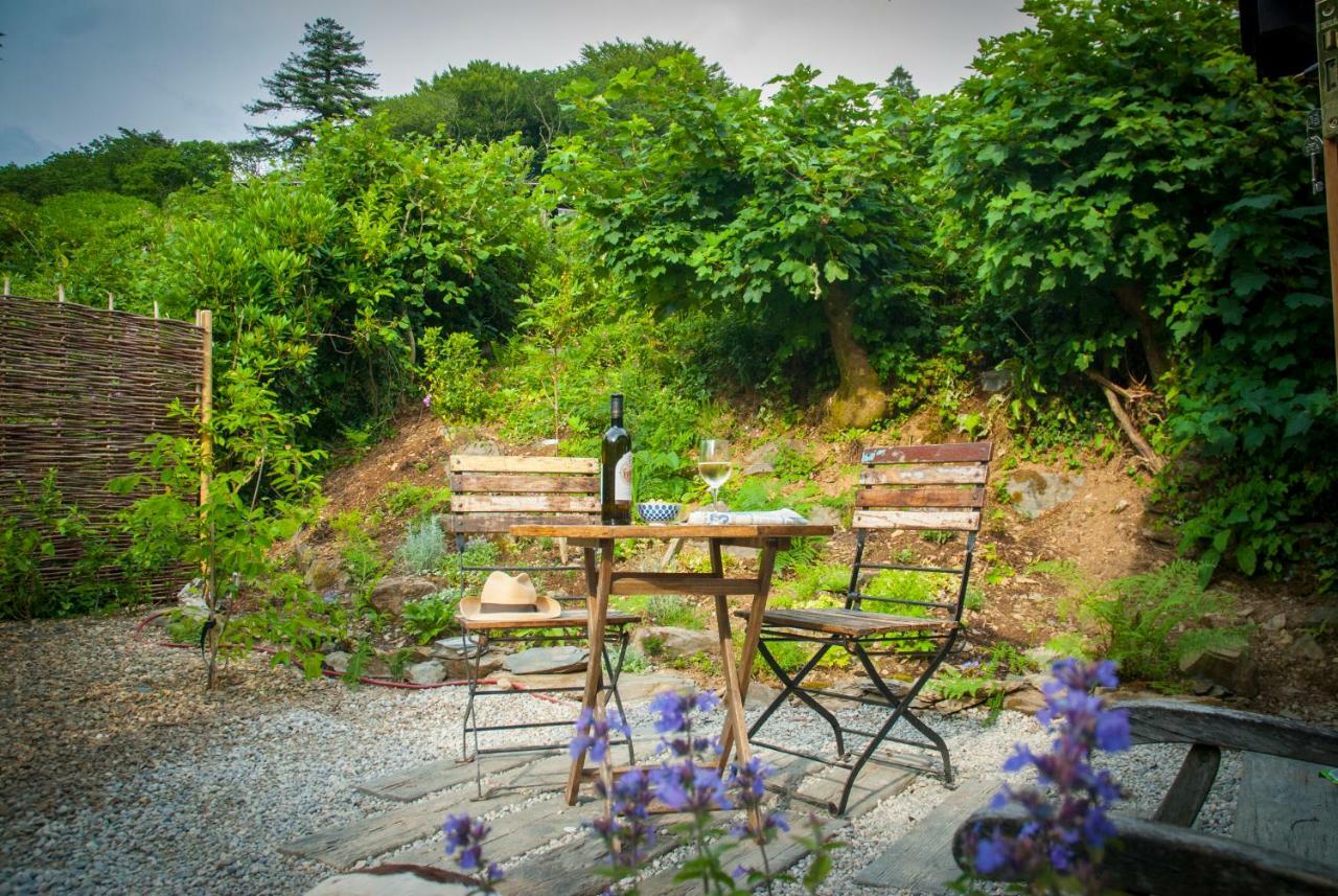 Little Kestrel Cabin Pennal Ngoại thất bức ảnh