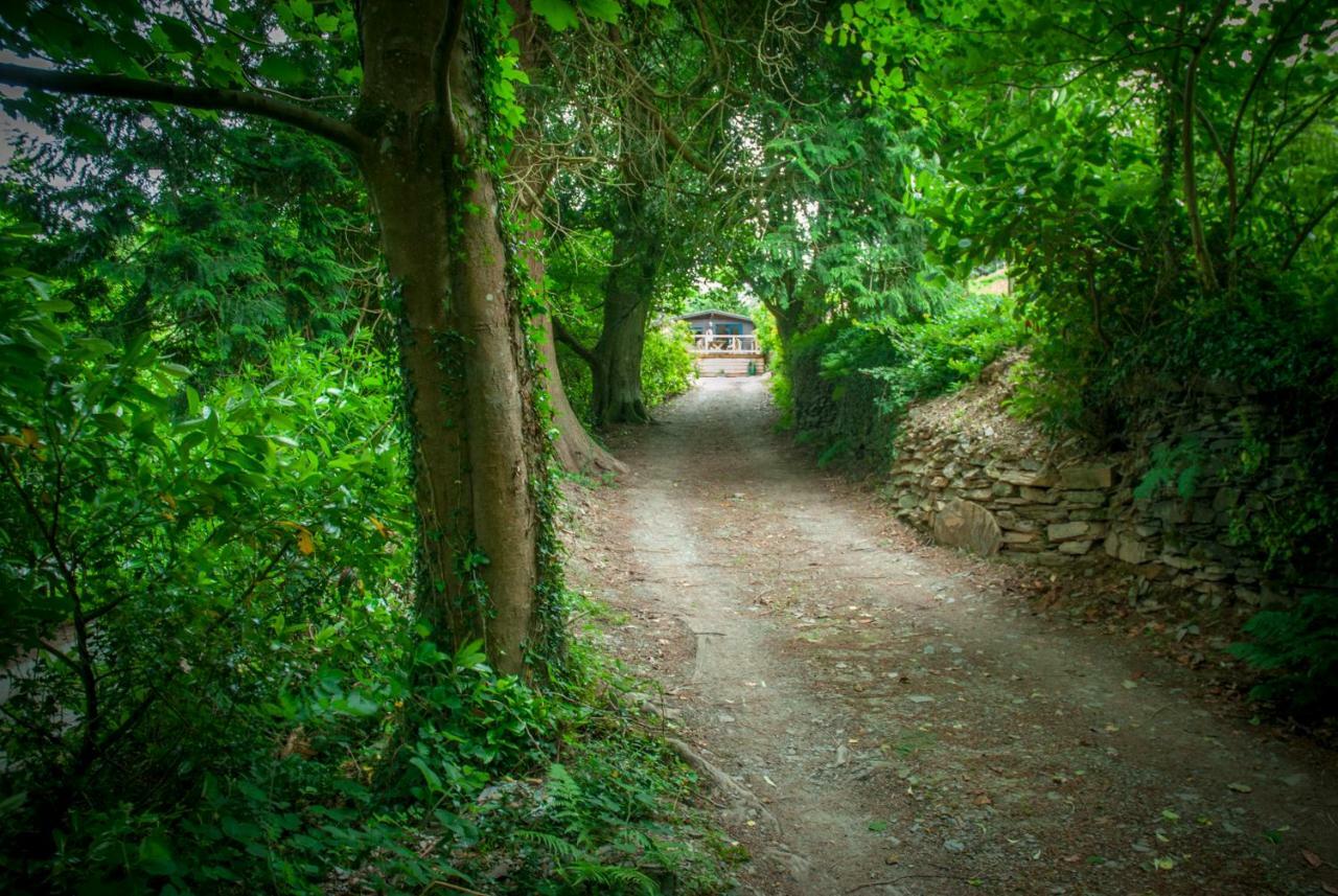 Little Kestrel Cabin Pennal Ngoại thất bức ảnh